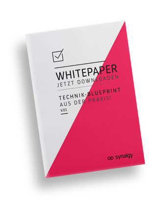 Whitepaper jetzt downloaden - Technik-Blueprint aus der Praxis von synaigy
