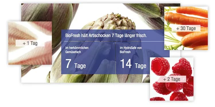 synaigy und Liebherr Hausgeräte schaffen gemeinsam nutzerzentrierte Informationsarchitektur für die verschiedenen Zielgruppen