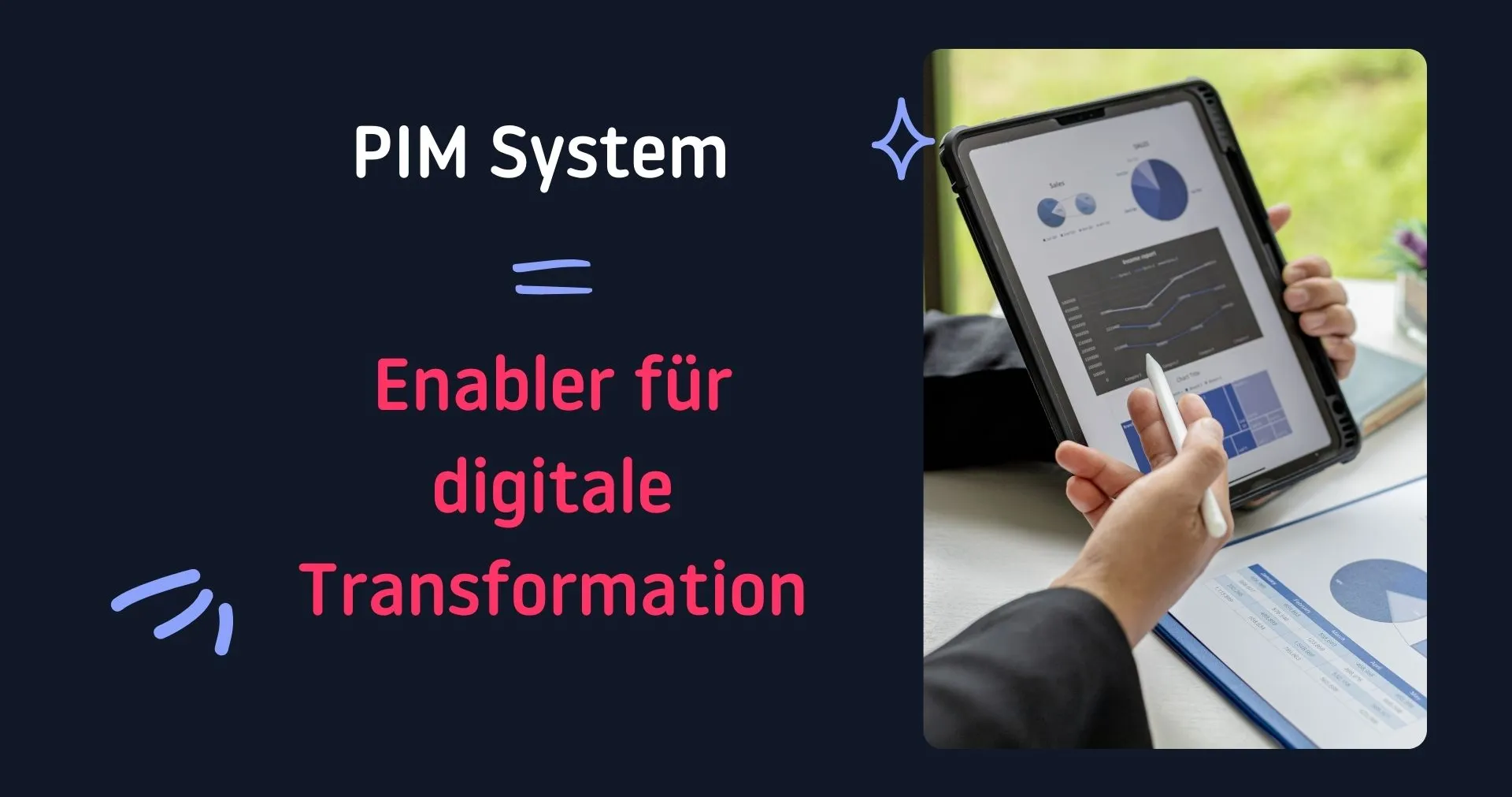 Einführung eines PIM-Systems