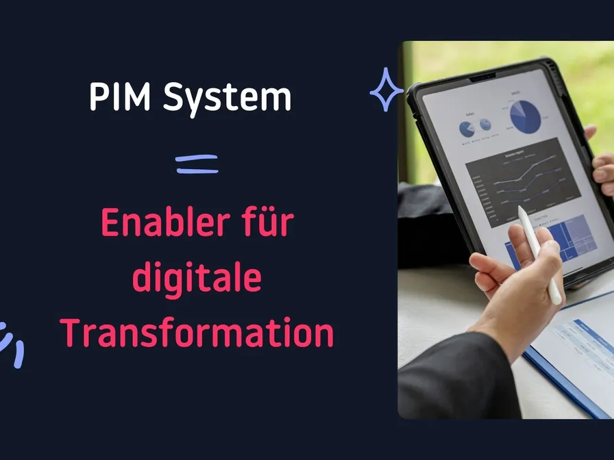 Einführung eines PIM-Systems