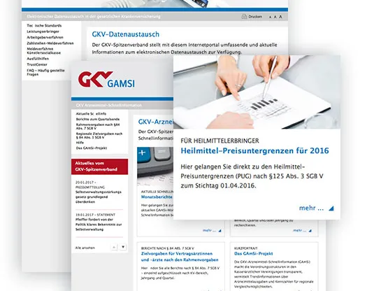 Das Bild zeigt die Themenportale der Corporate Website des GKV-SV